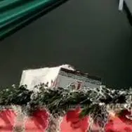 تصویری غم‌انگیز از تابوت کودکان خردسال شهید در مراسم تشییع شهدا