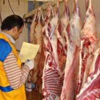 ارائه دو میلیون و ۳۴۰ هزار خدمت دامپزشکی در زنجان