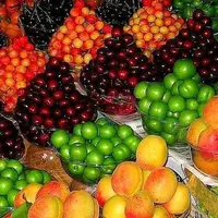 قیمت مصوب انواع میوه و صیفی در عمده فروشی اعلام شد