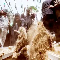 شهیدای شهر