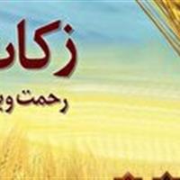 پیش بینی پرداخت ۸۰ میلیارد زکات در ساوه