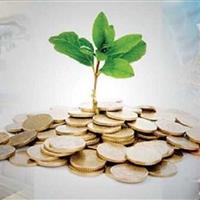 افزایش ۱۴ برابری سرمایه صندوق پژوهش و فناوری خراسان جنوبی