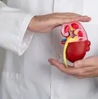 تغذیه مناسب برای حفظ سلامت کلیه‌ها