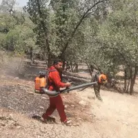 ۳۰ هکتار از باغات انار گلوگاه طعمه حریق شد