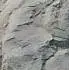 طرح/ لجاجت کافران 