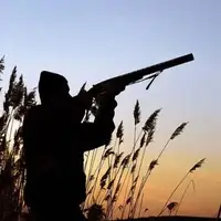 کشف لاشه دو قوچ وحشی و سلاح شکاری در کیلان