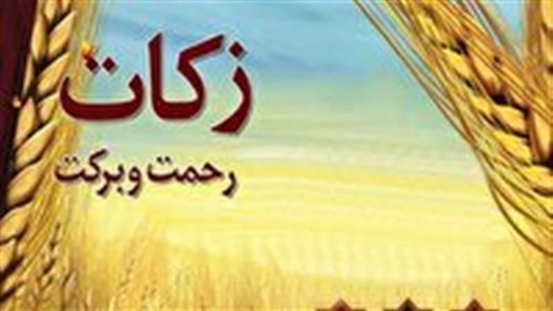 پیش بینی پرداخت ۸۰ میلیارد زکات در ساوه