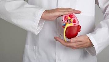 تغذیه مناسب برای حفظ سلامت کلیه‌ها