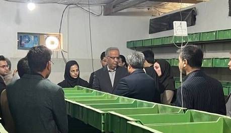 ضرورت توسعه مشاغل خرد و خانگی در سیستان و بلوچستان