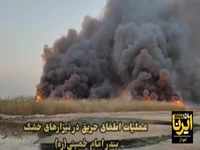 آتش‌ به‌جان نیزارهای بندر امام‌خمینی افتاد