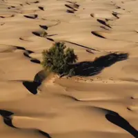  این کویر، معجزه‌ی جنوب ایران است
