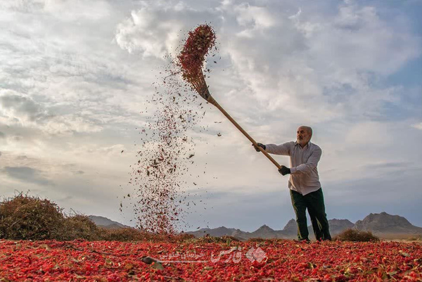 تصاویر دیدهنشده از «حاج کاظم» در روستای پدری