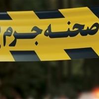 جزئیات قتل سروش ستوده با 3 ضربه چاقو در خیابان ولنجک