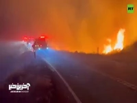 تش‌سوزی جنگلی گسترده در کالیفرنیا
