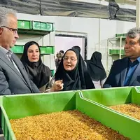 سیستان و بلوچستان به قطب تولید پروتئین حشره‌ای کشور تبدیل می‌شود