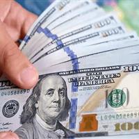 محکومیت ۲۹ میلیارد ریالی شرکت متخلف ارزی در البرز