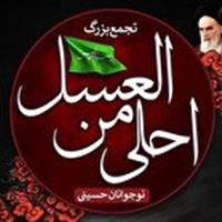سوگواره احلی من العسل؛ وفاداری نوجوانان حسینی به مکتب سرخ عاشورا