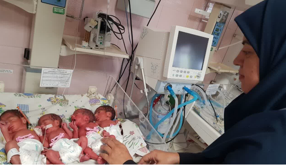 تولد نوزادان 4 قلو در اصفهان