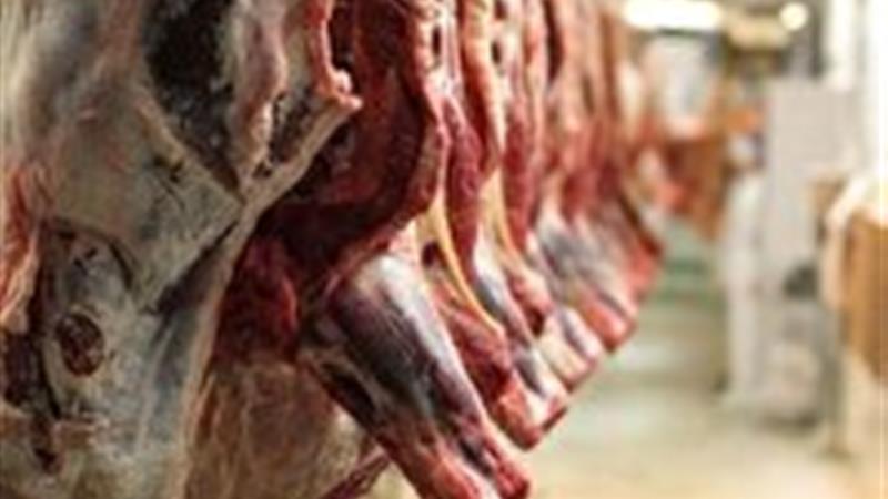 تولید حدود ۷۳۳ تُن گوشت قرمز در خراسان شمالی