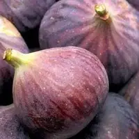 التهاب زدایی، ضد سرطان و فشار خون و بهبود سلامت جنسی، همه در یک میوه تابستانی