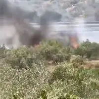 شهرک‌نشینان مزارع فلسطینی‌ها را در نابلس به آتش کشیدند