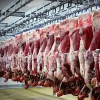 قیمت گوشت قرمز در بازار تهران