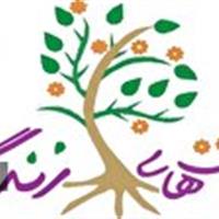 آموزش «مهارت‌های زندگی» به دختران کودک و نوجوان در حرم بانوی کرامت