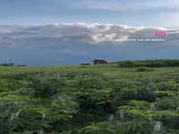 طبیعت بکر ییلاقات ماسال