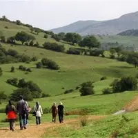 برگزاری هرگونه تور در لرستان ممنوع شد