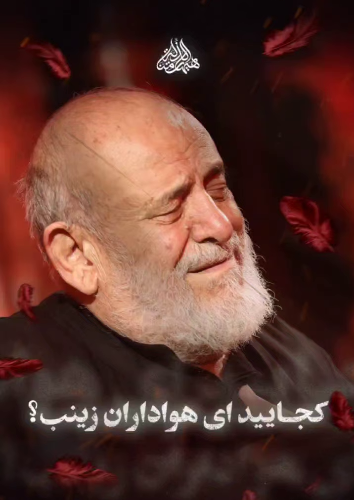 کجایید ای هواداران زینب(س)