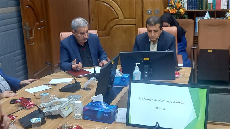 مدیرکل بهزیستی کردستان: برنامهای جامع برای مراقبت از سالمندان در مواقع بحران تدوین شود