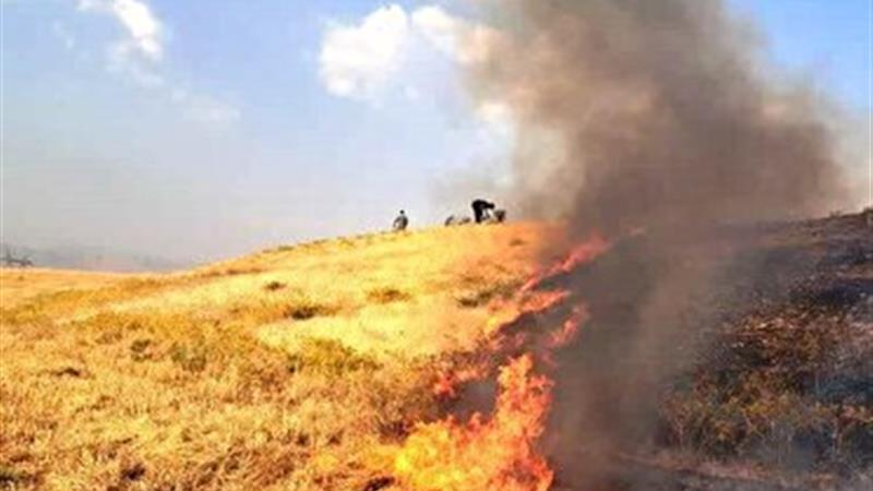 آتش سوزی در ۲۵ هکتار از مزارع گندم سقز