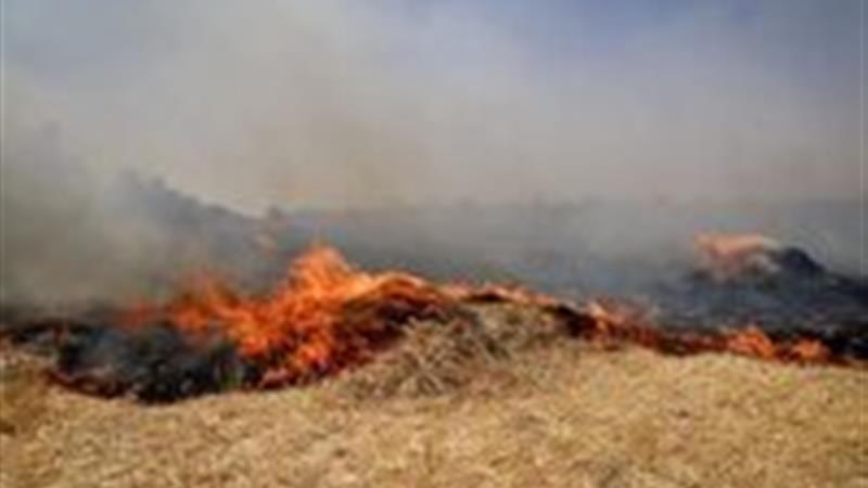 کشاورزان  از آتش زدن بقایای محصولات کشاورزی خودداری کنند
