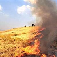 آتش سوزی در ۲۵ هکتار از مزارع گندم سقز