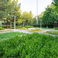 ۸۰ هکتار از فضای سبز شهر خرم‌آباد با آب شرب آبیاری می‌شود