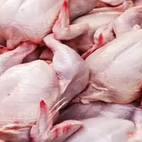 وزیر جهاد کشاورزی: قیمت مرغ برای مصرف کننده ۱۰۸ هزار تومان است