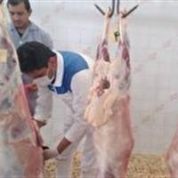آمادگی ۵۴ تیم نظارتی دامپزشکی خراسان جنوبی در تاسوعا و عاشورای حسینی