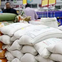 معاون وزیر جهاد کشاورزی: بازار برنج متعادل می‌شود