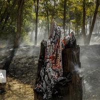 آتش‌سوزی آبیدر سنندج مهار شد