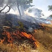 آتش دوباره به جان آبیدر افتاد