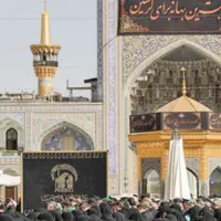 خرد، دوست آدمی است