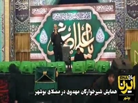 همایش شیرخوارگان مهدوی در مصلای بوشهر