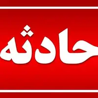 بی‌توجهی به دستور پلیس و سرعت بالا در دشتی به فوت راننده آریسان انجامید