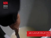 خدمات‌دهی موکب‌های شهر یاسوج به زائران حسینی