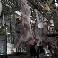 کشتارگاه‌های کرمانشاه تاسوعا و عاشورا رایگان فعال‌اند