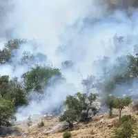 افزایش احتمال حریق در جنگل‌ها و مراتع با گرم شدن هوا و خشکی بوته‌ها 