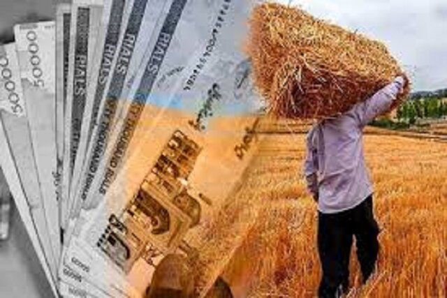 زمان پرداخت مطالبات و خسارات گندم‌کاران گلستانی اعلام شد