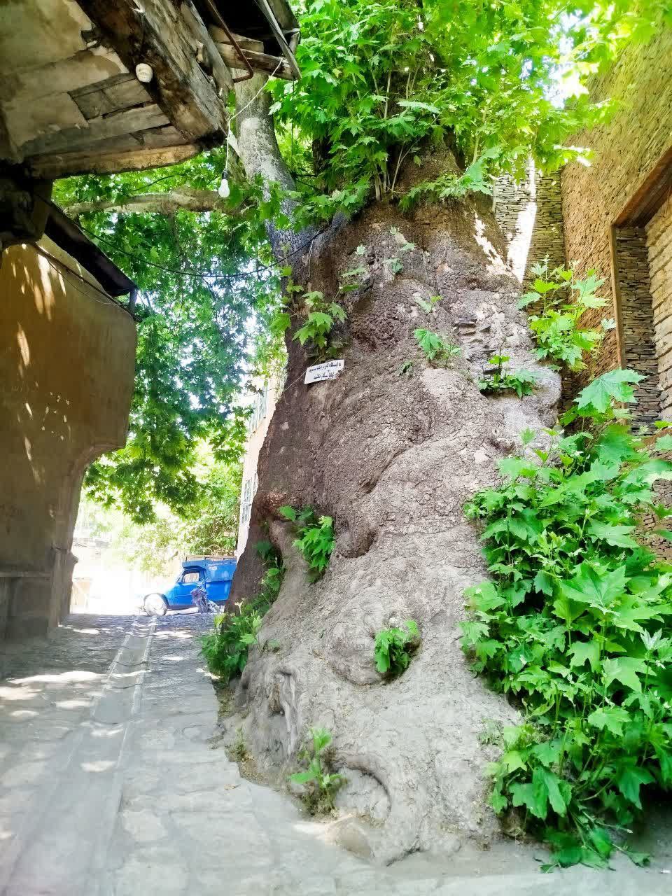 تصاویری از طبیعت زیبای روستای ازغد