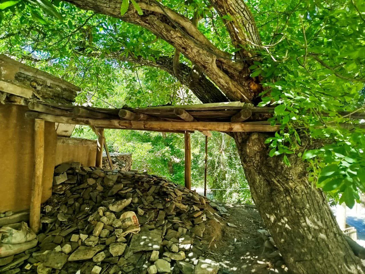 تصاویری از طبیعت زیبای روستای ازغد
