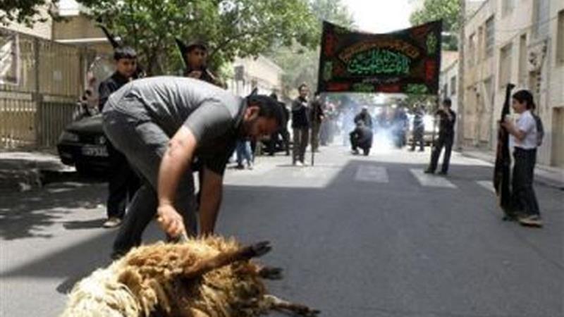 نظارت ۵۴ تیم دامپزشکی خراسان جنوبی بر ذبح دام در دهه اول محرم